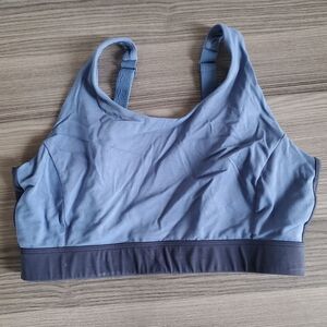 Fair Harbor Atlantique Blue Sports Bra